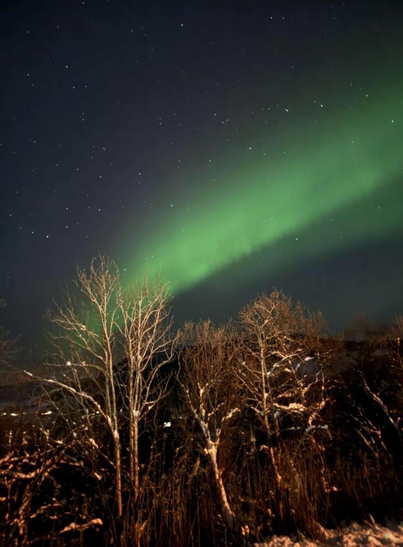 Koselig Leilighet I Narvik Sentrum 5 Soveplasser Gratis Parkering Og Gratis Internett Екстер'єр фото