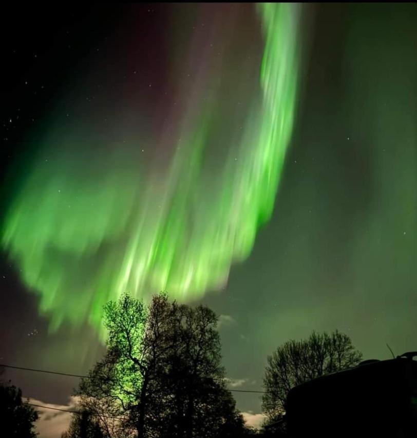 Koselig Leilighet I Narvik Sentrum 5 Soveplasser Gratis Parkering Og Gratis Internett Екстер'єр фото